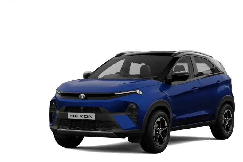 Nexon — Royal Blue Dual Tone
